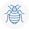Bed Bug Extermination In Aintree